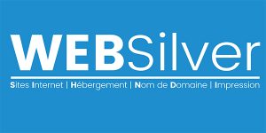 Logo WebSilver